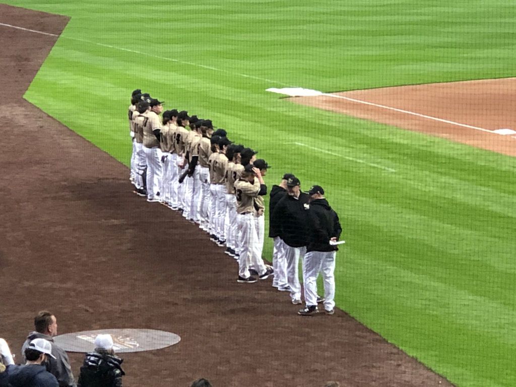 baseball players lined up along foul line on a green baseball field